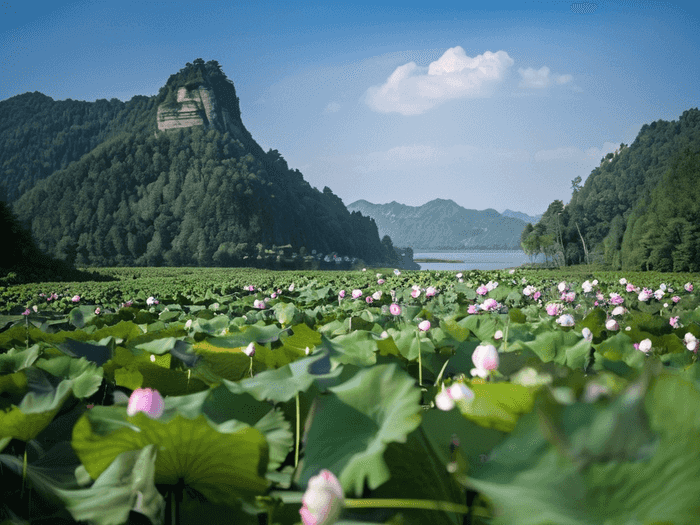 大专在国外是什么学历