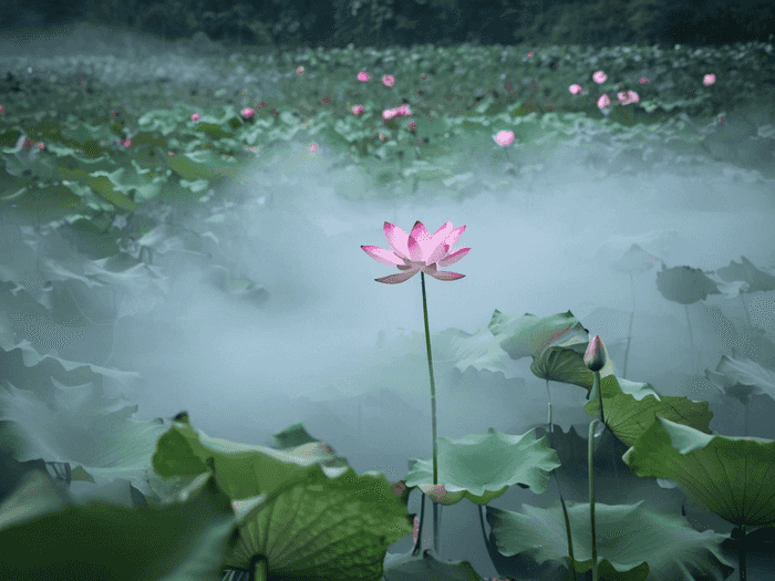 师大专升本平板多少g