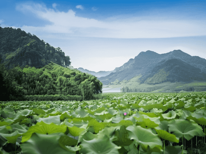 问别人高考分数怎样问好