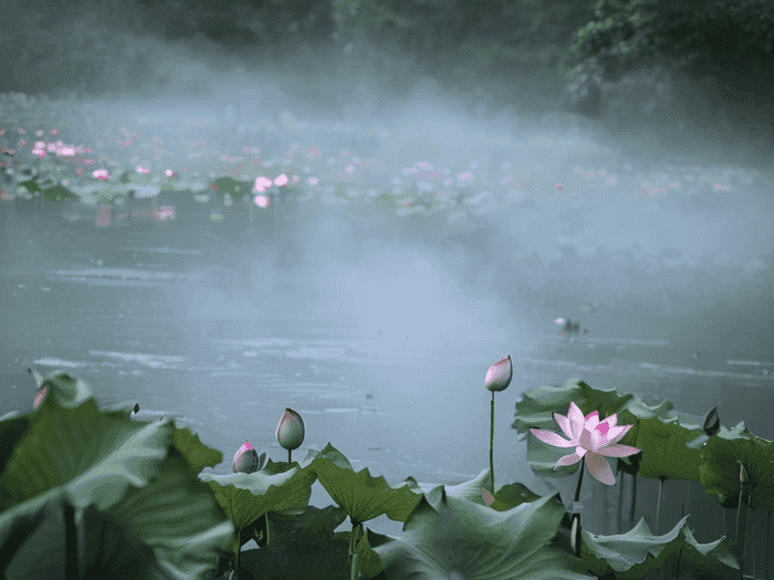 专升本要花多少钱啊