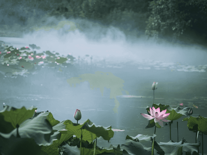 留学生同居花钱怎么算