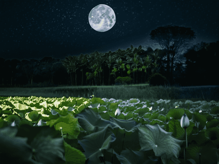 如何才能上好一节初中课