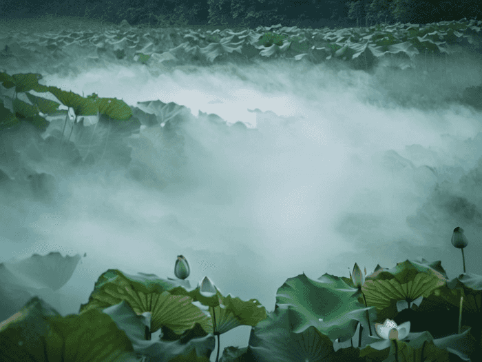 专升本考南京师范多少分