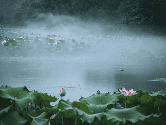 山东青岛成考怎么样
