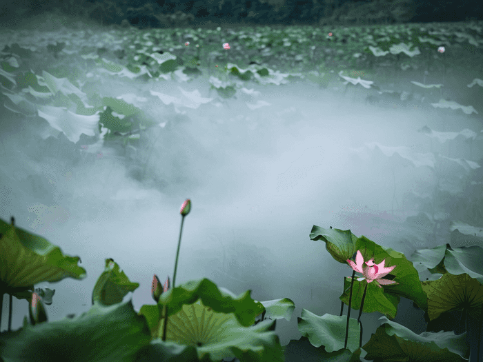 华南师范大学水电费多少