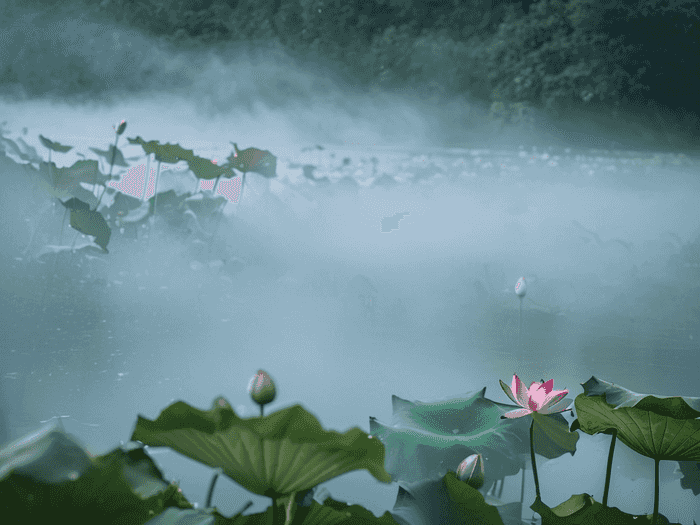 西华师范大学有多少亩地