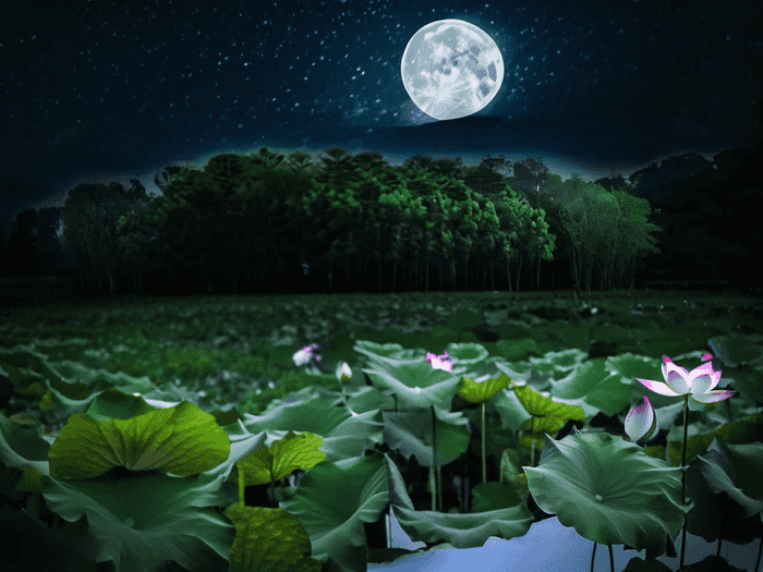 如何准备初中生物说课