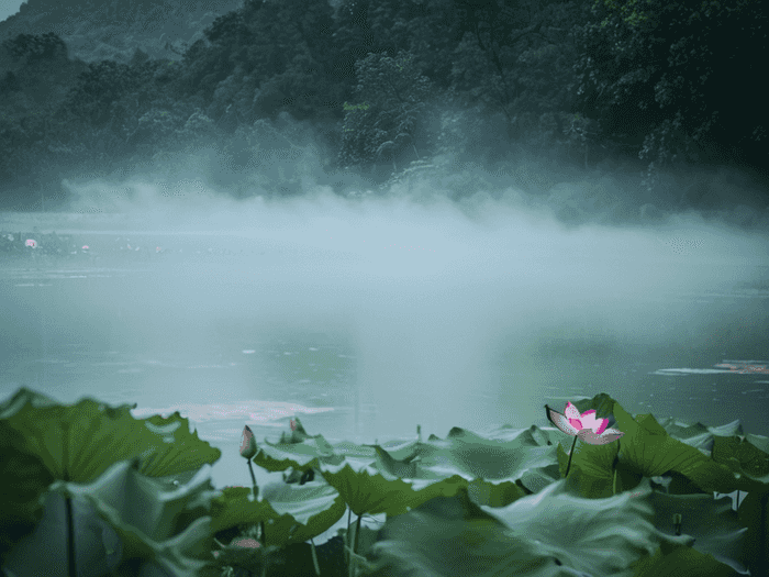 传媒和师范大学哪个好