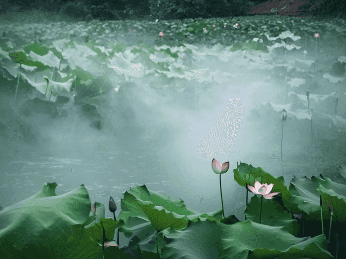 长江师范大学在哪个校区