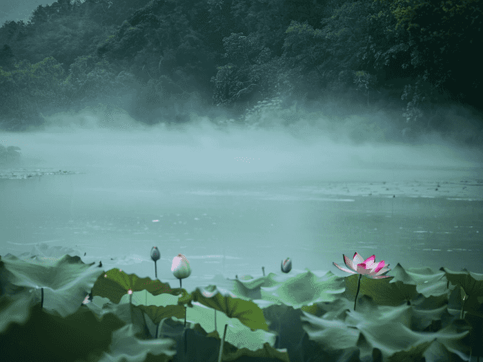 山东的师范大学哪个最好