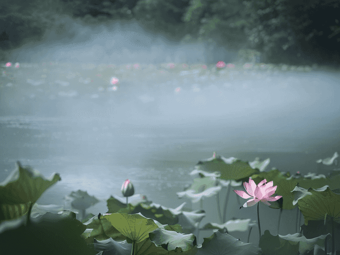 华师音乐初试排名多少名