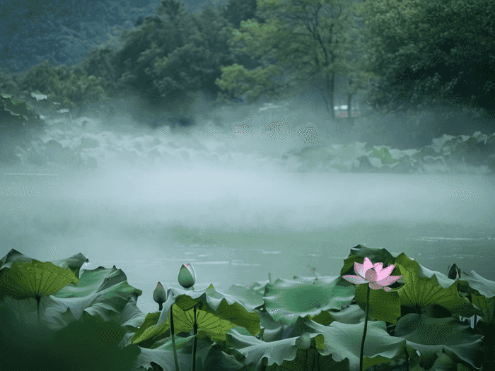 巢湖二中初中在哪里读书