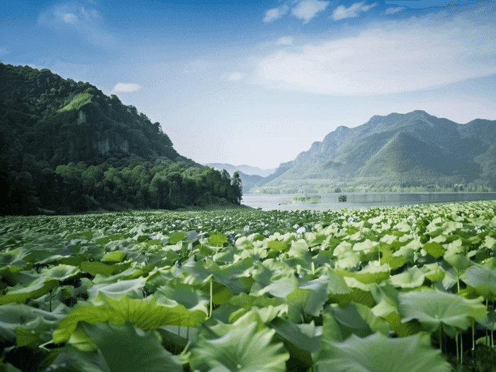 资格复审邮件怎么称呼他