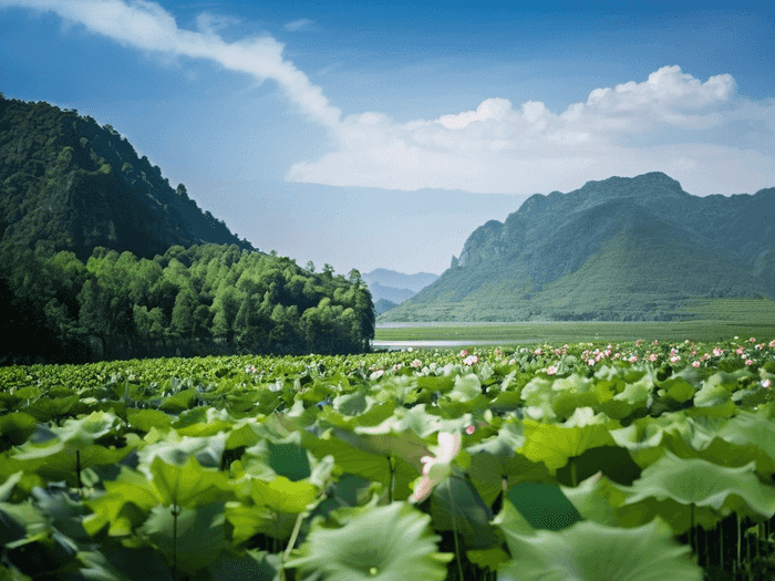 英国本科预科没过怎么办