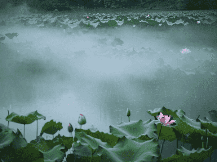 复审驾驶证去哪里