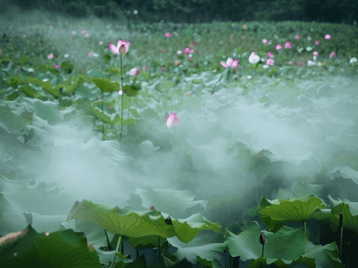 预科生在学校怎么做