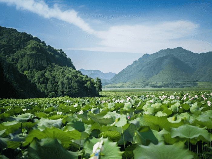 厦大国际生预科怎么样