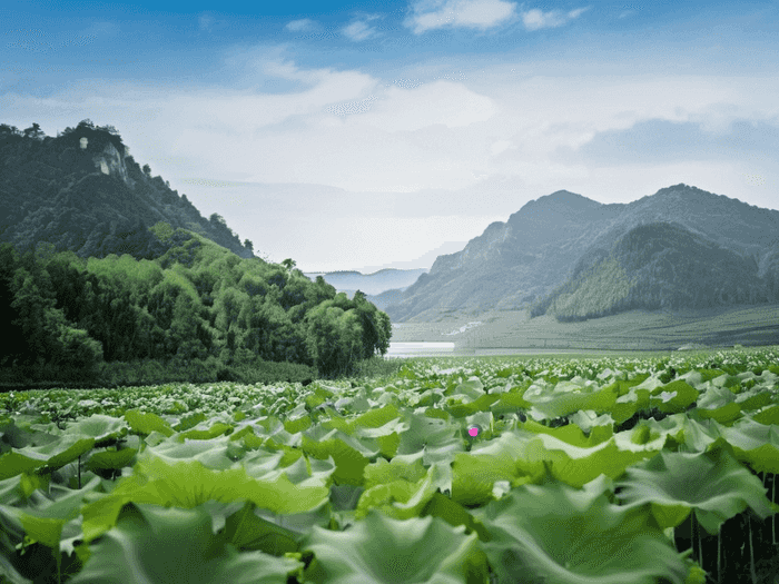 大明宫初中学校在哪里
