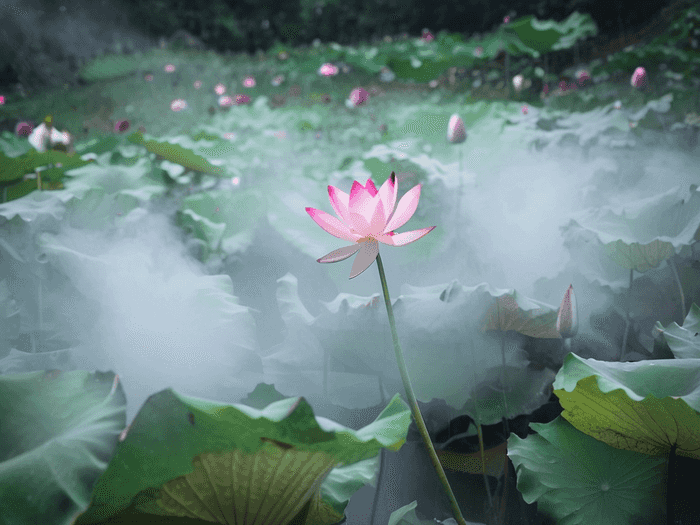 成考怎么换号码