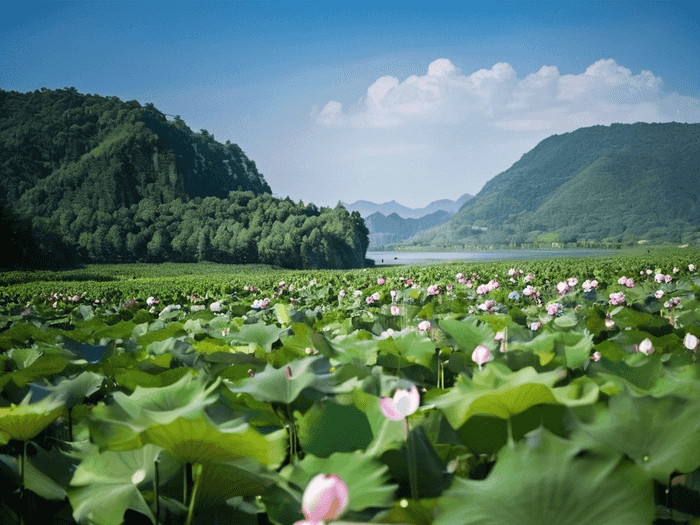 广西物流预科班怎么样