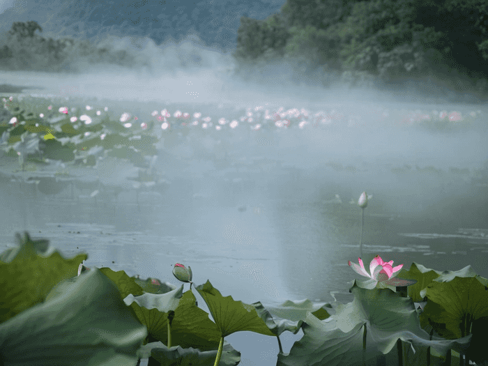 江苏留学怎么选择大学