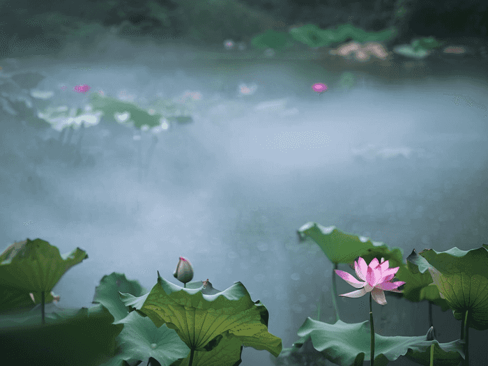 大专生三年学费多少