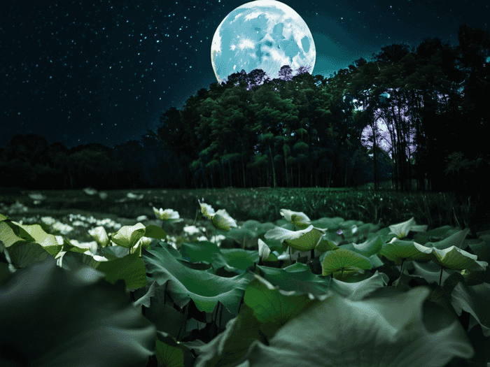 溧水区成考院校在哪里考