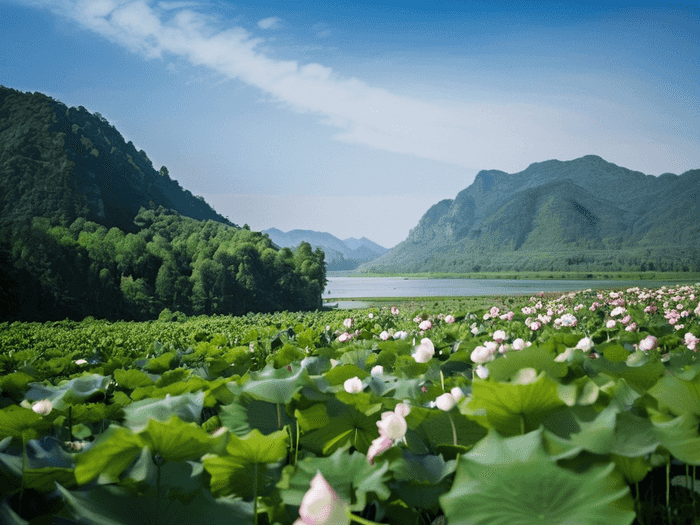 大学生齐肩烫发怎么打理