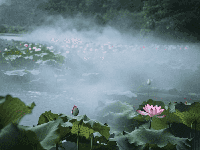 特岗中怎样才算偏远村