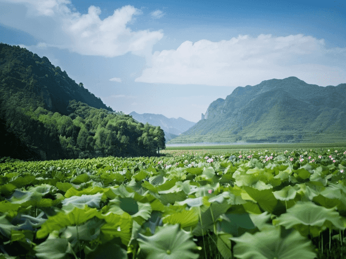 大学生社保地区怎么转移