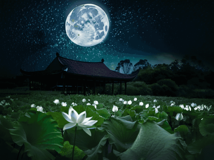 黄冈实验中学