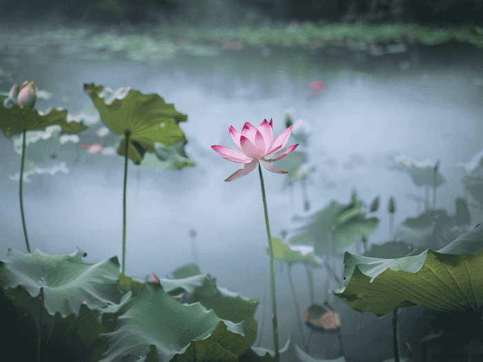 芜湖自考成考哪里不错
