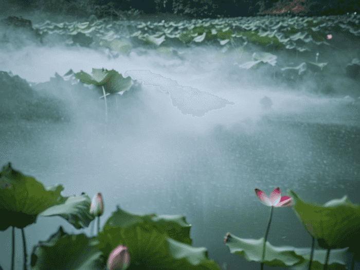 怎么备考幼师特岗