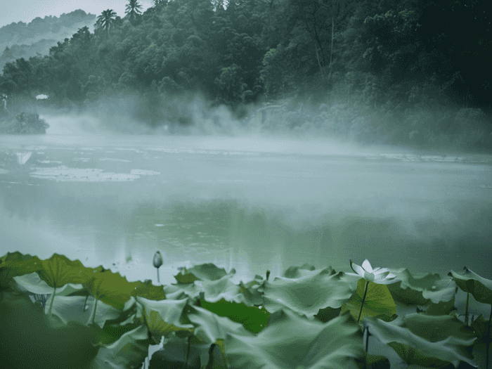 大学生被偷雨伞怎么处理