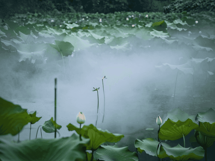 田阳特岗考什么