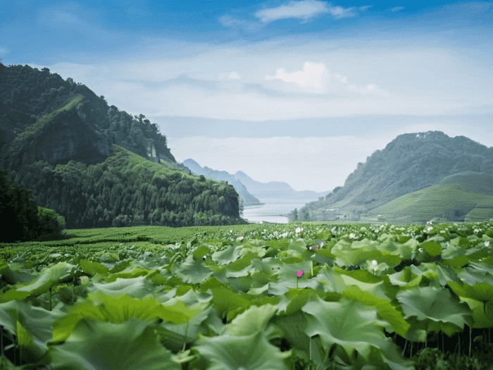 江西成考费用怎么