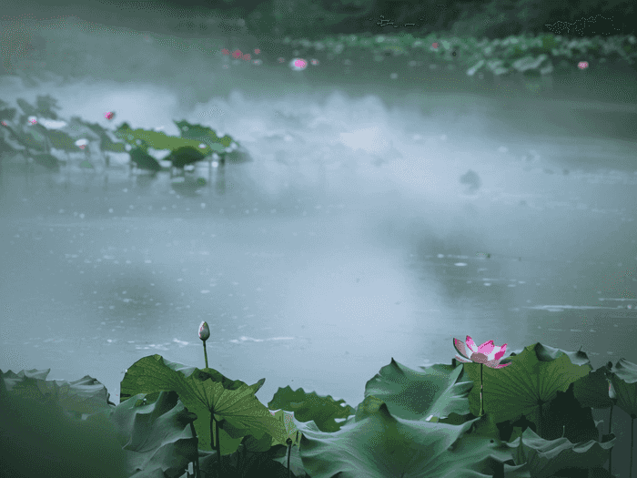 大学生物解剖怎么学