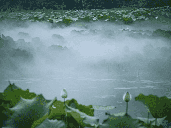 青海师范成考多少分过