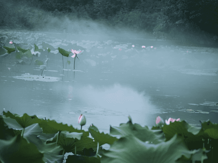 luna在哪个魔法学院