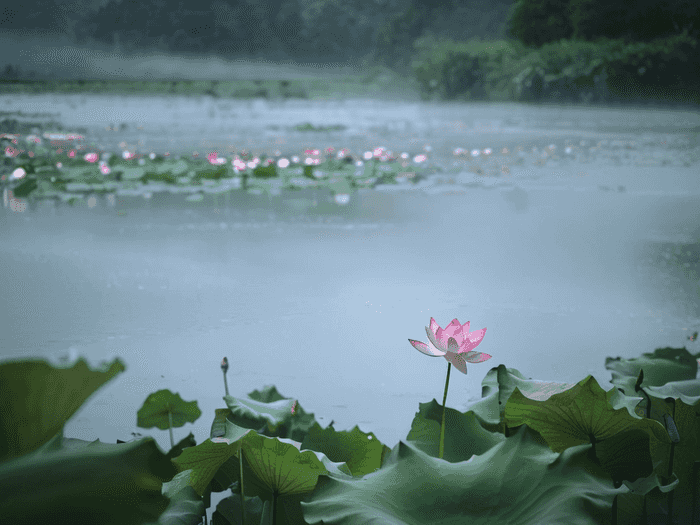 临沂初中体育教师怎么样