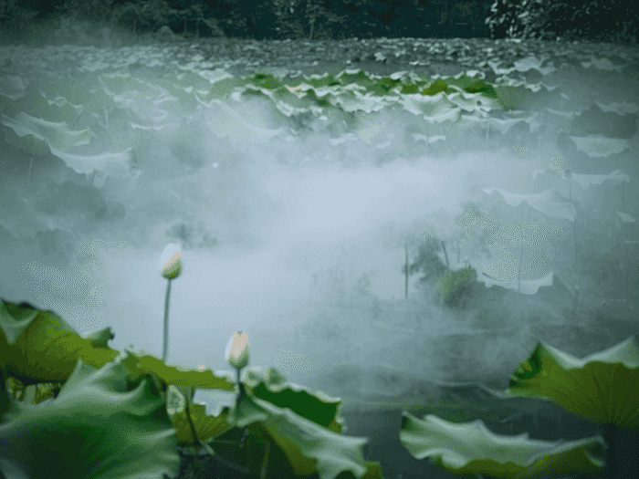 执业药师什么时候复审