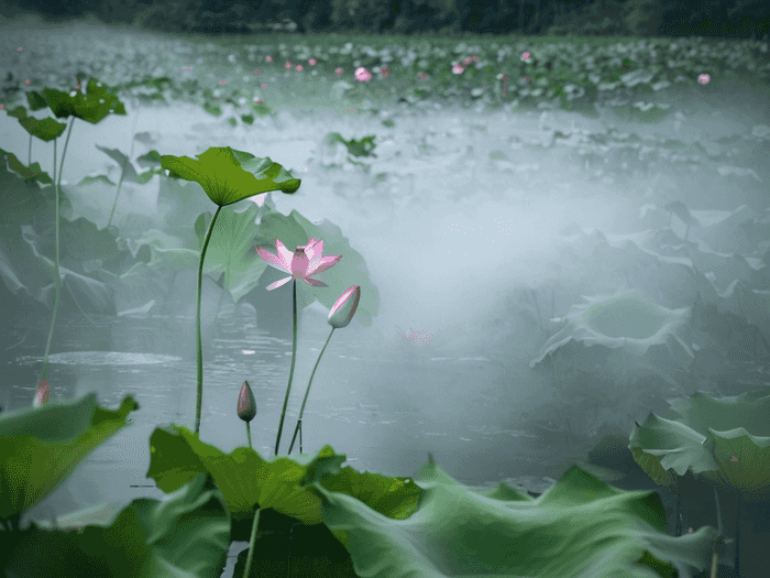 福师大专硕学费一年多少