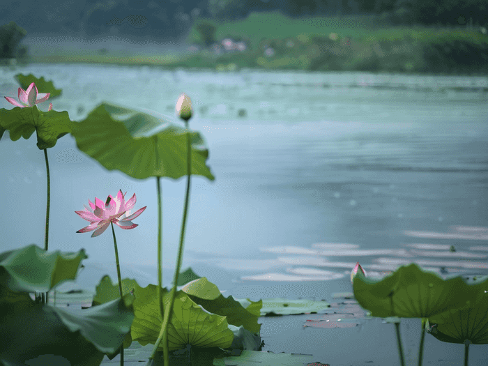 师大专升本学费多少山东