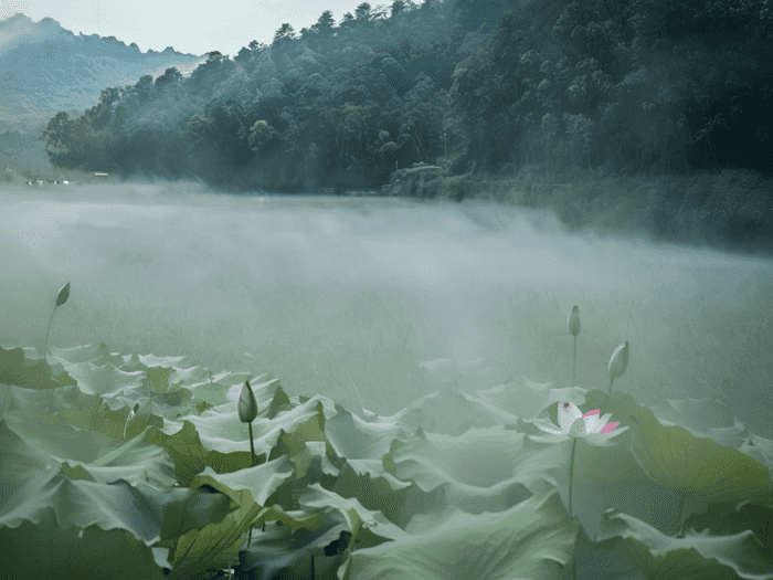 留学生如何消除焦虑