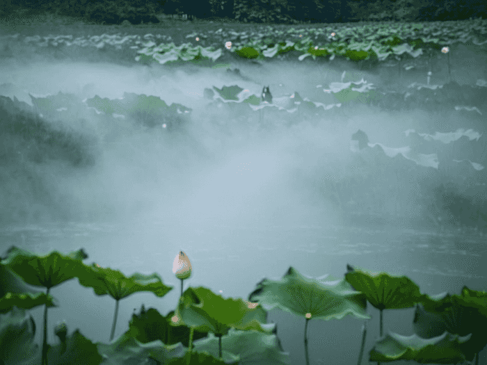 山师大专升本多少钱