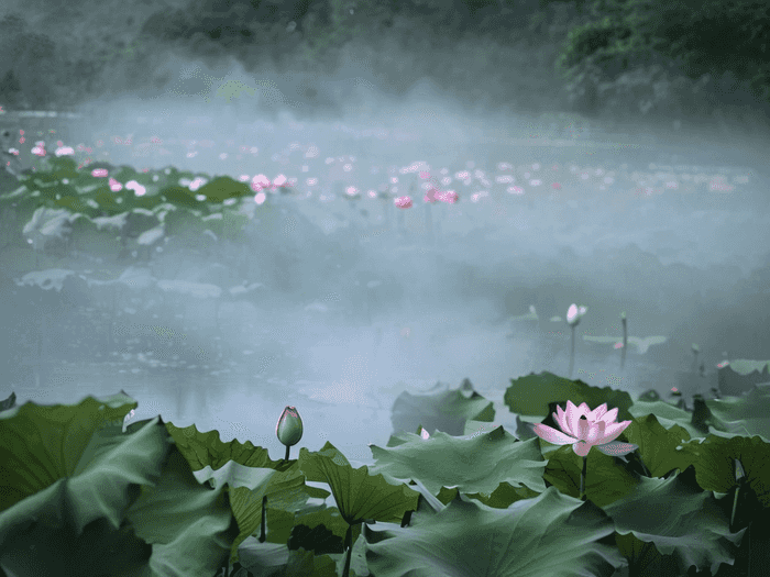 厨师留学身份是什么