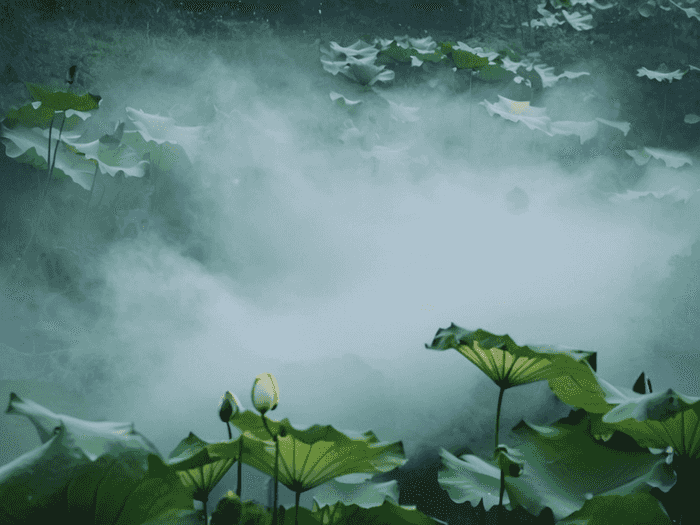湖北专升本在哪里读好点