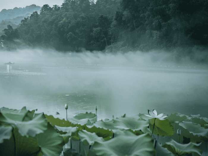 留学生三大谎言是什么