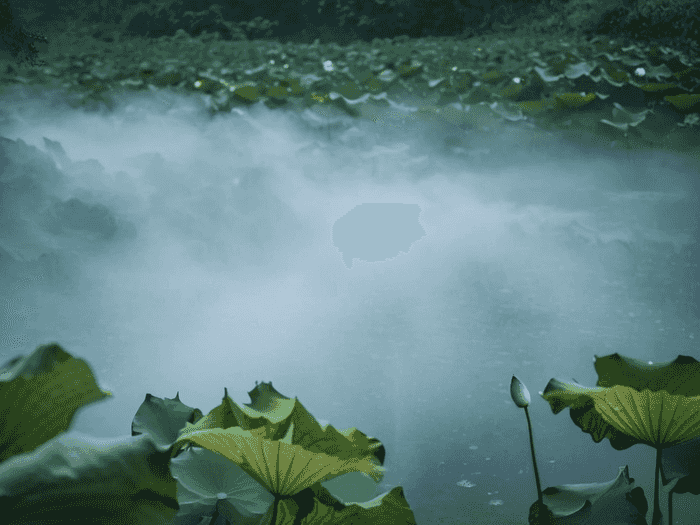 山师自考学位审核多久