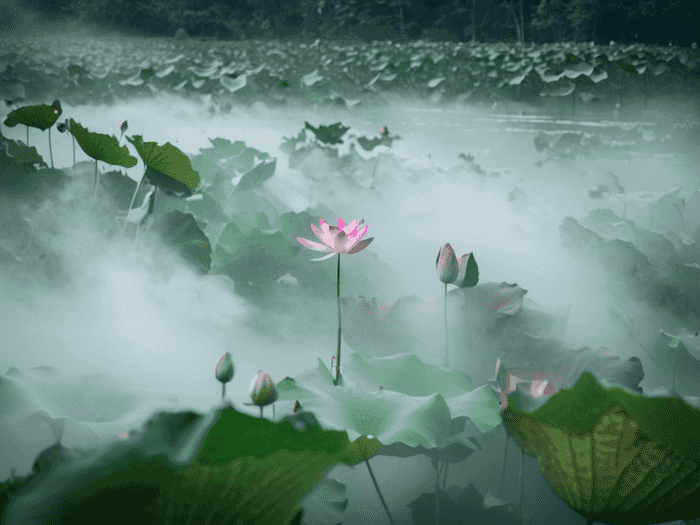 山师留学什么时候考试